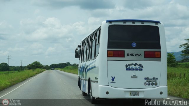 A.C. Expresos Barinas 019 por Pablo Acevedo