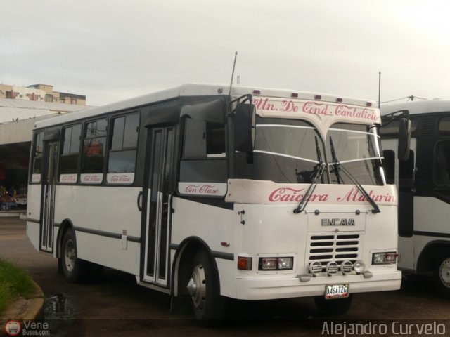 Unión Conductores Cantalicio 91 por Alejandro Curvelo