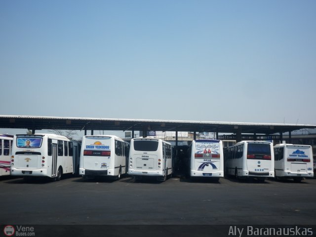 Garajes Paradas y Terminales San Diego por Aly Baranauskas