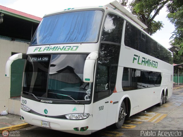 Expresos Flamingo 0100 por Pablo Acevedo
