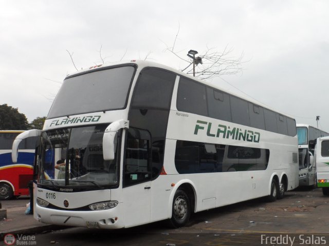 Expresos Flamingo 0116 por Freddy Salas