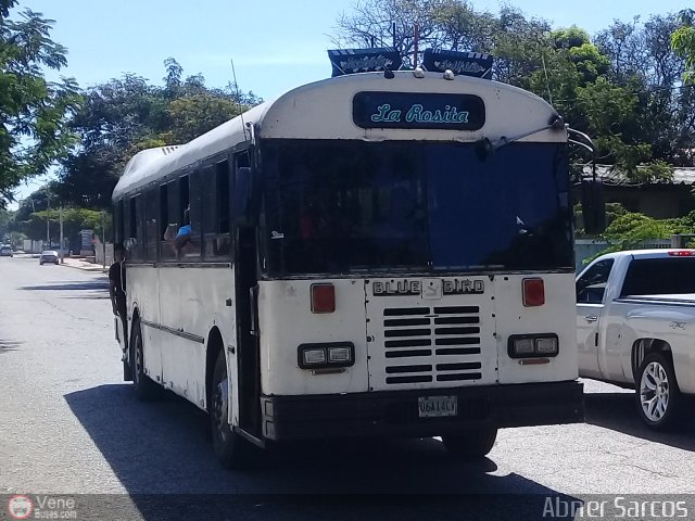 Colectivos La Rosita 008 por Abner Sarcos