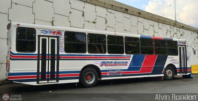 Expresos Pegamar 0006 por Alvin Rondn