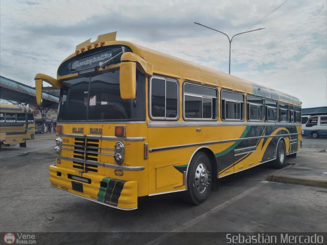 ZU - Colectivos Concepcin 001 por Sebastin Mercado