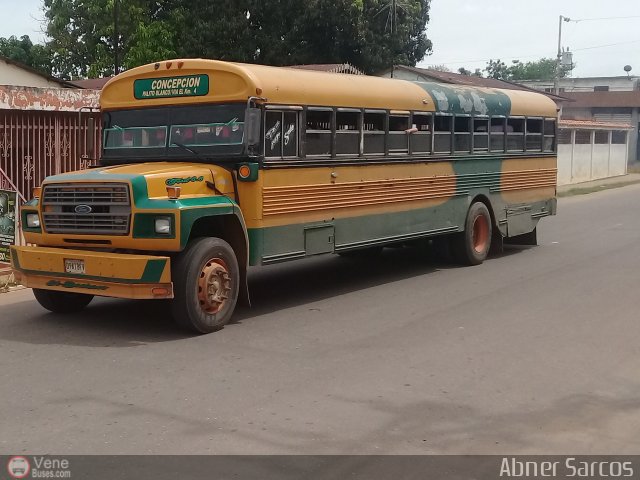 ZU - Colectivos Concepcin 121 por Abner Sarcos