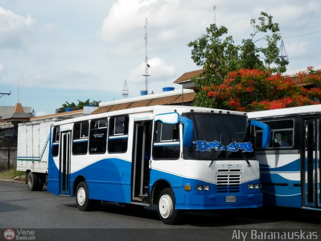 Particular o Desconocido 477 por Aly Baranauskas