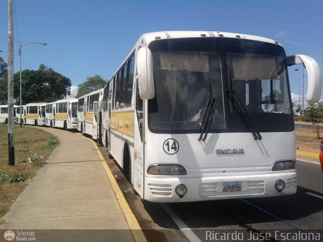 Garajes Paradas y Terminales Ciudad-Guayana por Ricardo Escalona