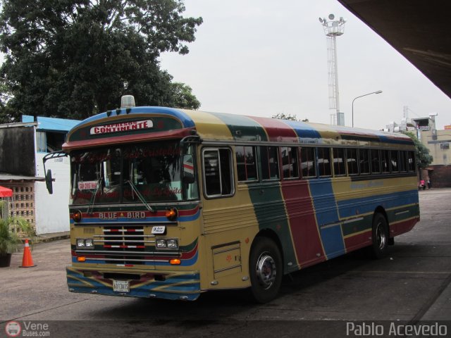 Expresos Continente C-40 por Pablo Acevedo
