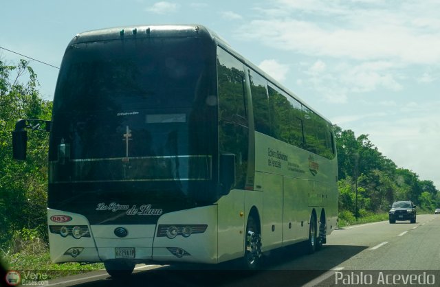 Los P�jaros de Lara 083 por Pablo Acevedo