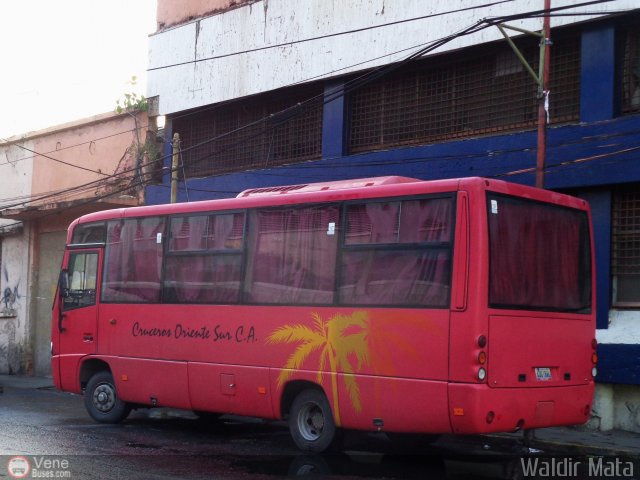 Cruceros Oriente Sur 113 por Waldir Mata