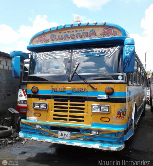 Expresos Nirgua 0113 por Eduard Delgado