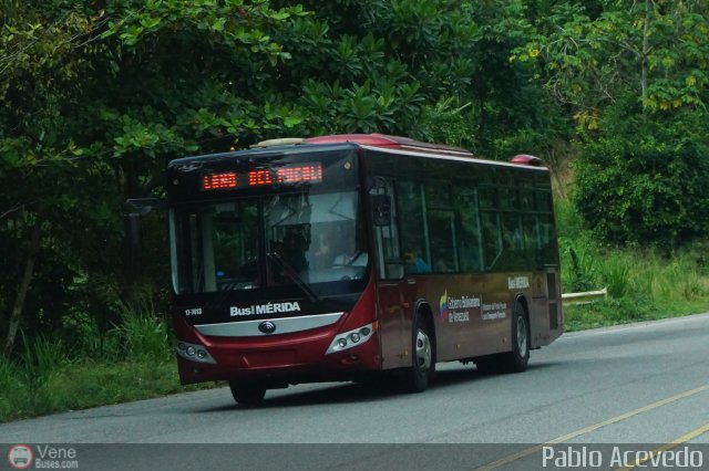 Bus Mrida 17 por Pablo Acevedo