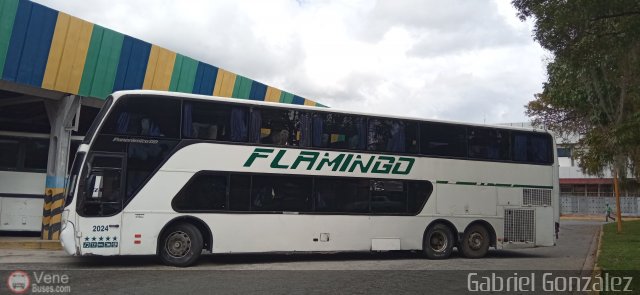 Expresos Flamingo 2024 por Gabriel Gonz�lez