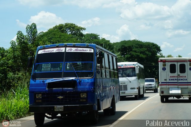 Transporte Flor de Barinas 23 por Pablo Acevedo