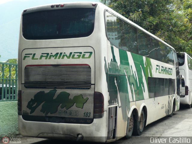 Expresos Flamingo 0183 por Oliver Castillo