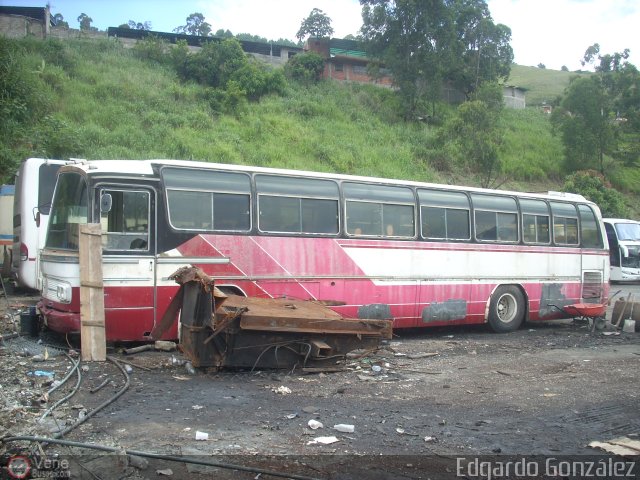 En Chiveras Abandonados Recuperacin  por Edgardo Gonzlez