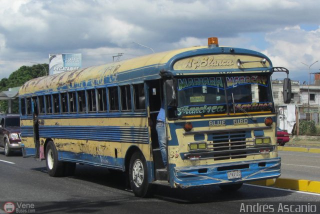 Transporte Agua Blanca 03 por Andrs Ascanio