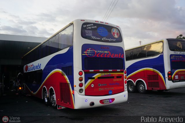 Expresos Occidente Gua 2019 11 por Pablo Acevedo