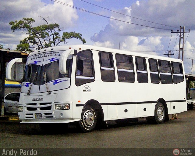 Transporte Virgen del Carmen 35 por Andy Pardo