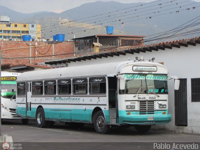 Expresos Bolivarianos 41 por Pablo Acevedo