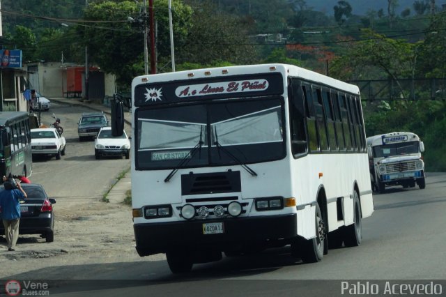 Lnea El Pial A.C. 65 por Pablo Acevedo