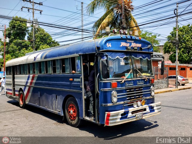 Transporte Colectivo Palo Negro 64 por Esmirs Osal