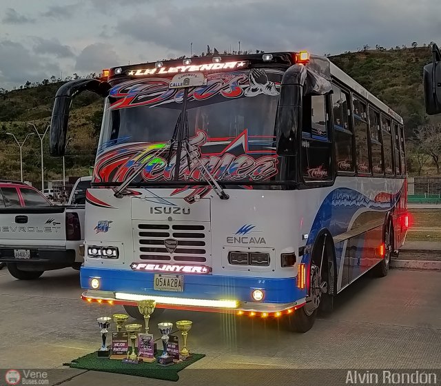 AR - Unin Coromoto 81 por Alvin Rondn