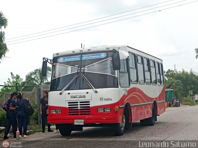 S.C. L�nea Transporte Expresos Del Chama 156 por Leonardo Saturno