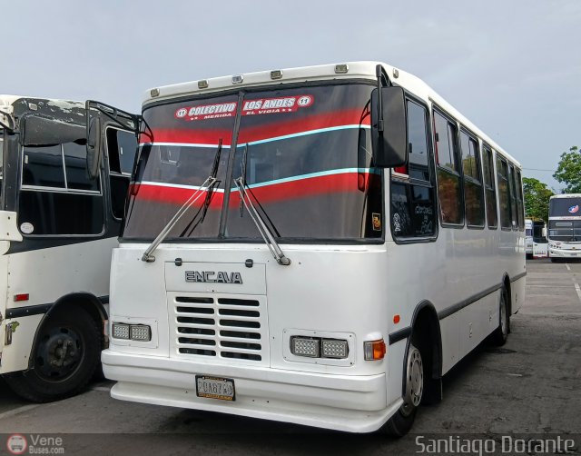 Colectivos El Vig�a 11 por Santiago Dorante