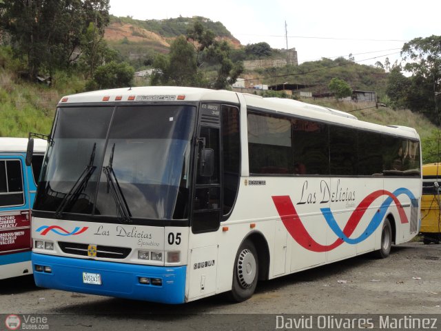 Transporte Las Delicias C.A. E-05 por David Olivares Martinez