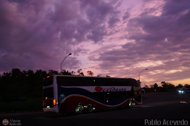 Expresos Occidente Gua 2019 4 por Pablo Acevedo