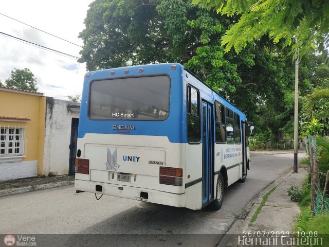 Universitarios y Escolares UNEY por Alvin Rond�n