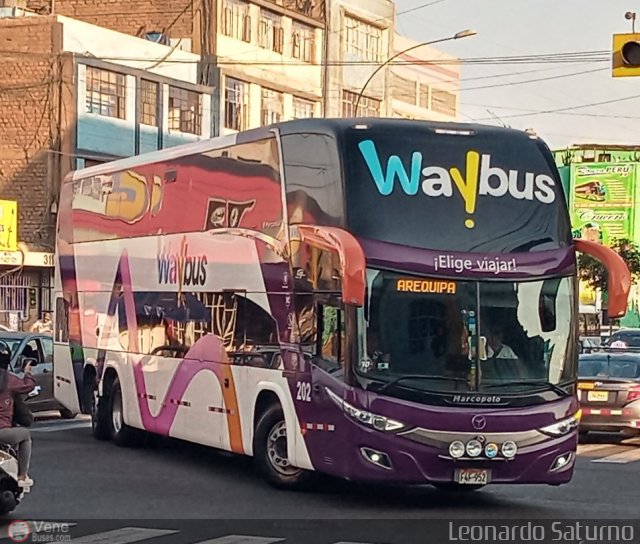 Way Bus 202 por Leonardo Saturno