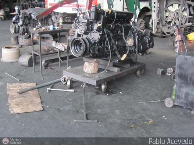 Expresos Flamingo 0100 por Pablo Acevedo