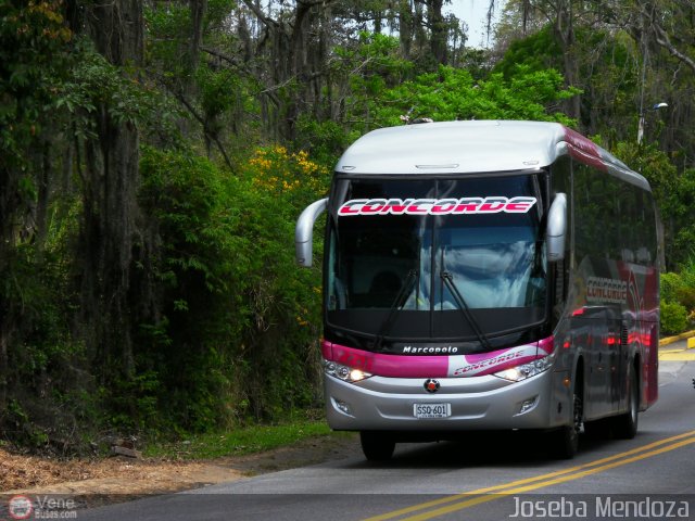 Cootransbol Ltda 2211 por Joseba Mendoza