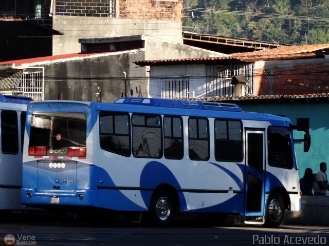 A.C. Expresos Barinas 010 por Pablo Acevedo