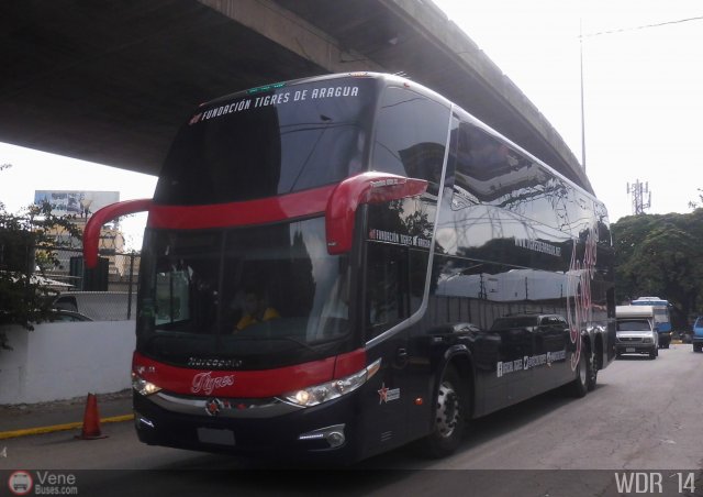 Tigres de Aragua B.B.C. 01 por Waldir Mata