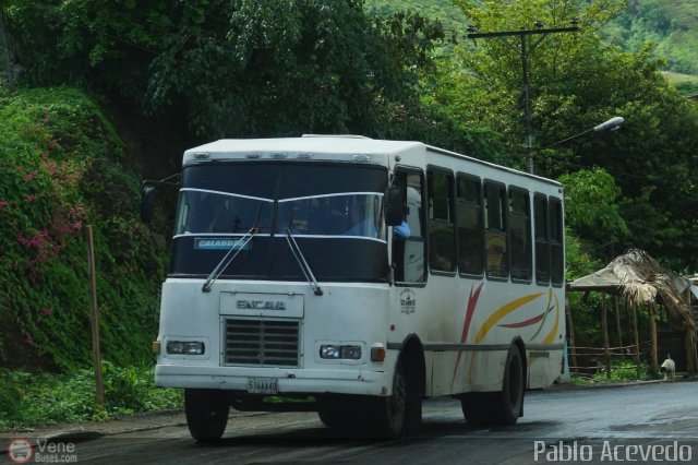 Los Rpidos S.C. 39 por Pablo Acevedo