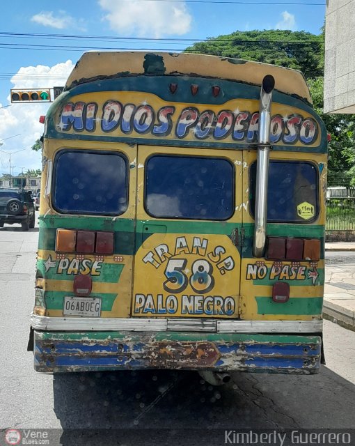 Transporte Palo Negro La Morita 2 058 por Kimberly Guerrero