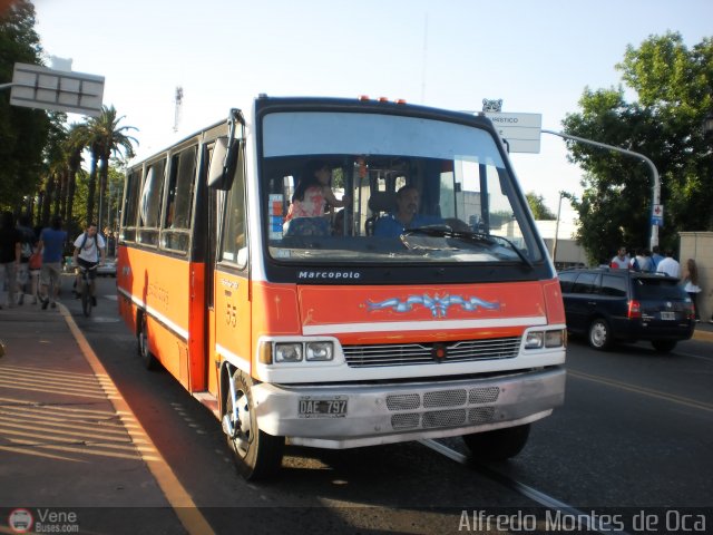 Universitarios y Escolares BA-55 por Alfredo Montes de Oca