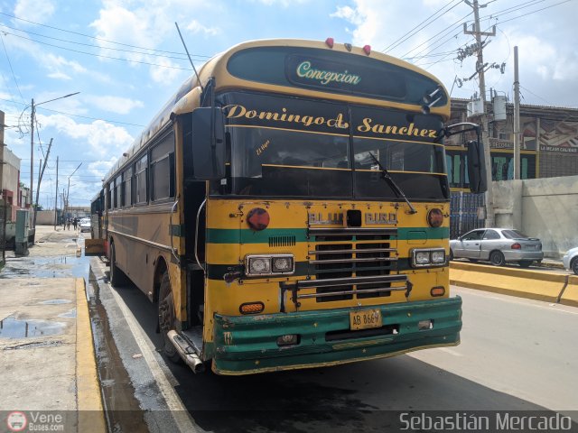 ZU - Colectivos Concepcin 101 por Sebastin Mercado