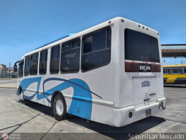 U.C. Falc�n Zulia 69 por Sebasti�n Mercado