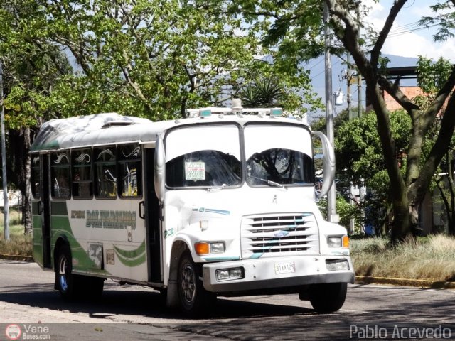 Expresos Bolivarianos 03 por Pablo Acevedo