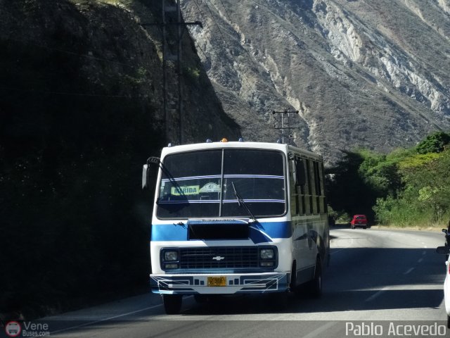 Expresos Libertador 88 por Pablo Acevedo