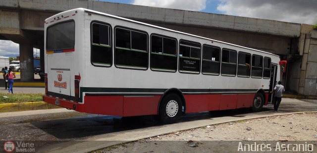 CA - Autobuses de Santa Rosa 08 por Andrs Ascanio