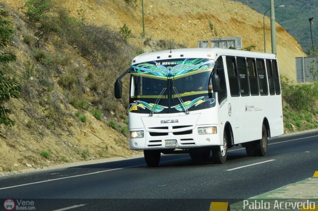 DC - A.C. Casalta - Chaca�to - Cafetal 087 por Pablo Acevedo