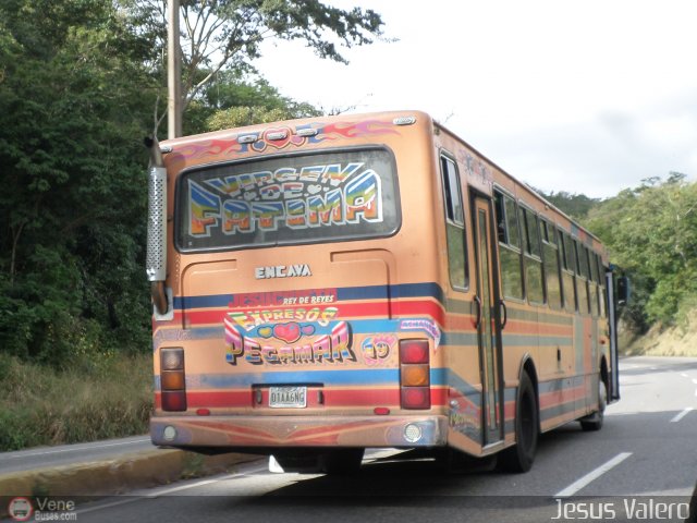 Expresos Pegamar 0019 por Jes�s Valero