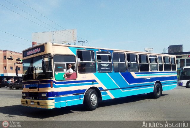 Transporte Guacara 0177 por Andrs Ascanio