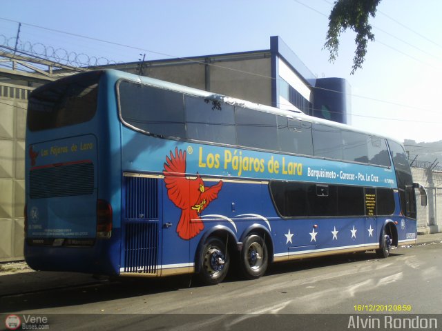 Los Pjaros de Lara 004 por Alvin Rondn