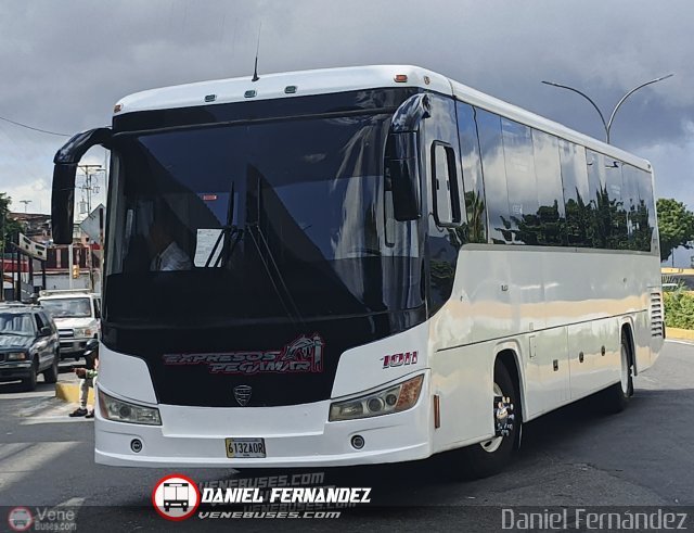 Expresos Pegamar 1011 por Daniel Fern�ndez